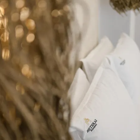 麦缇斯凯斯瑞泽顿斯酒店