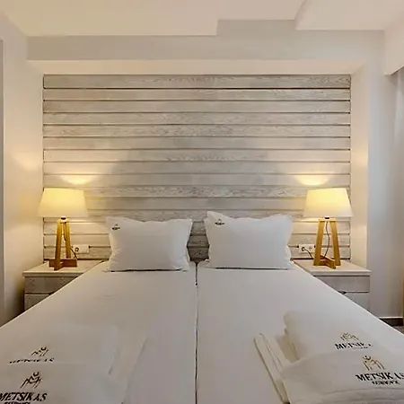 Hotel Metsikas 3*